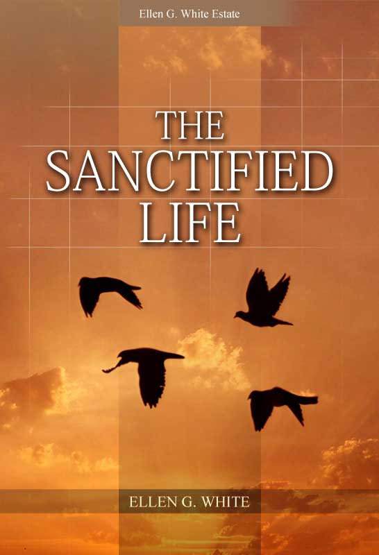 The Sactified Life